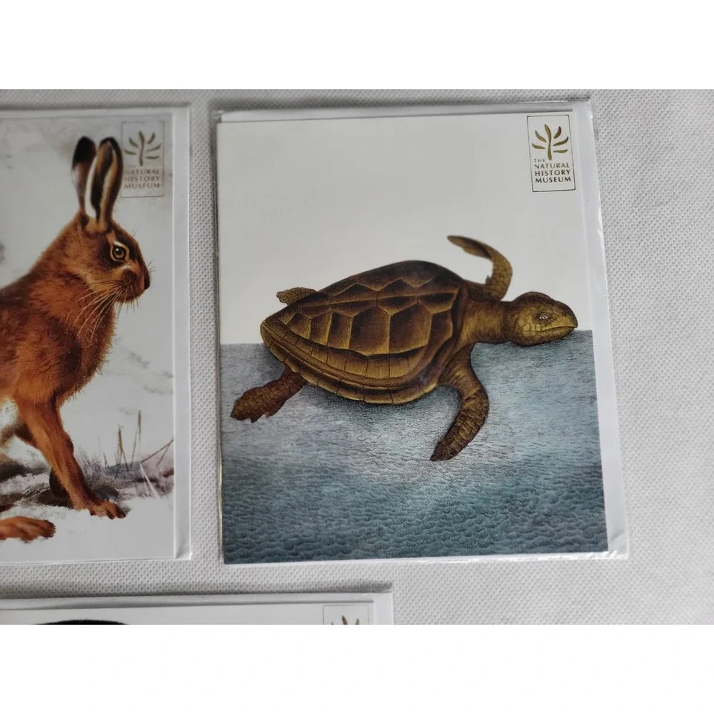 Natural History Museum Animal Greeting Cards Set of 5 Owl Hare Turtle Monkey OS